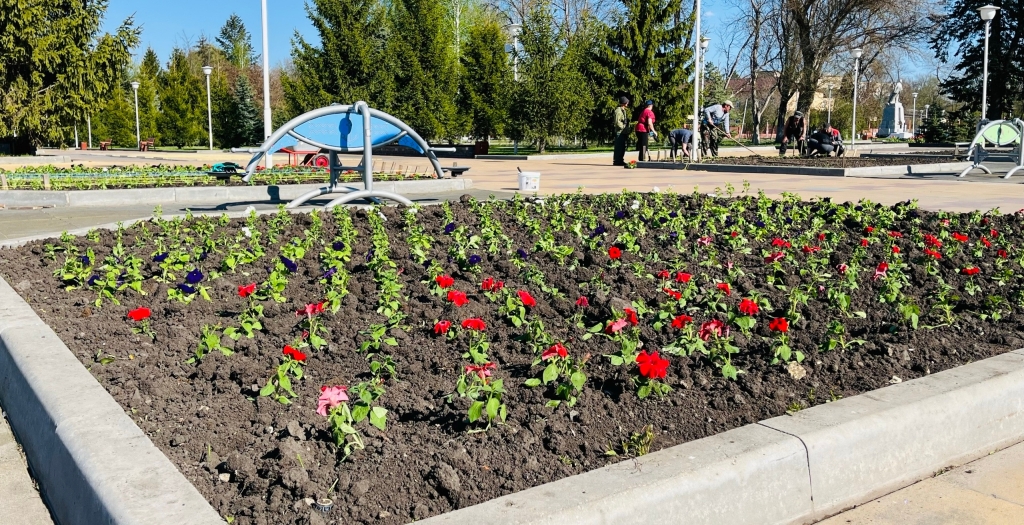 Клумбы в Балашове