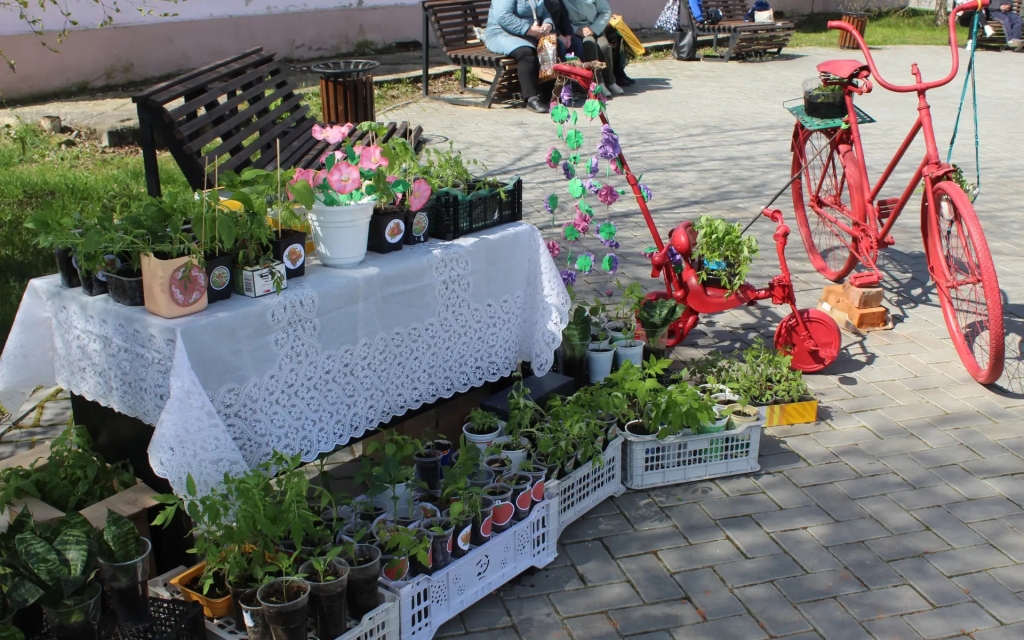 Клумбы в Калининске