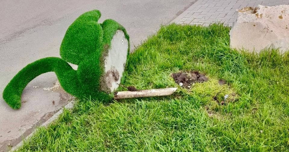 Поврежденный лебедь в Питерке