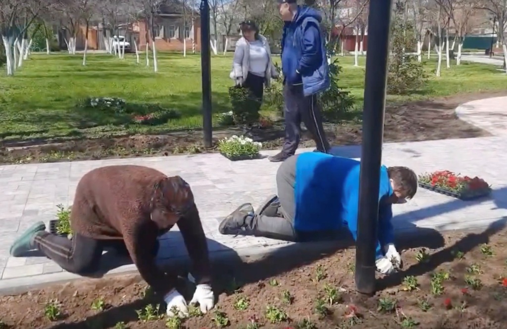 Клумбы в Марксе