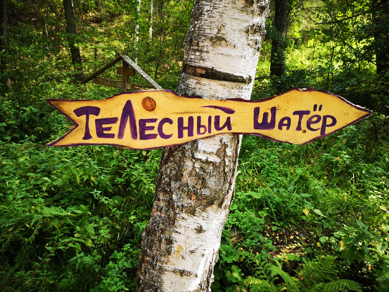 Лох телесный шатер