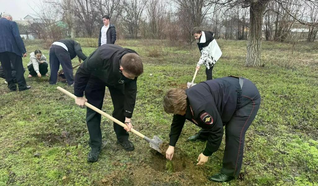 Сад памяти в Марксе