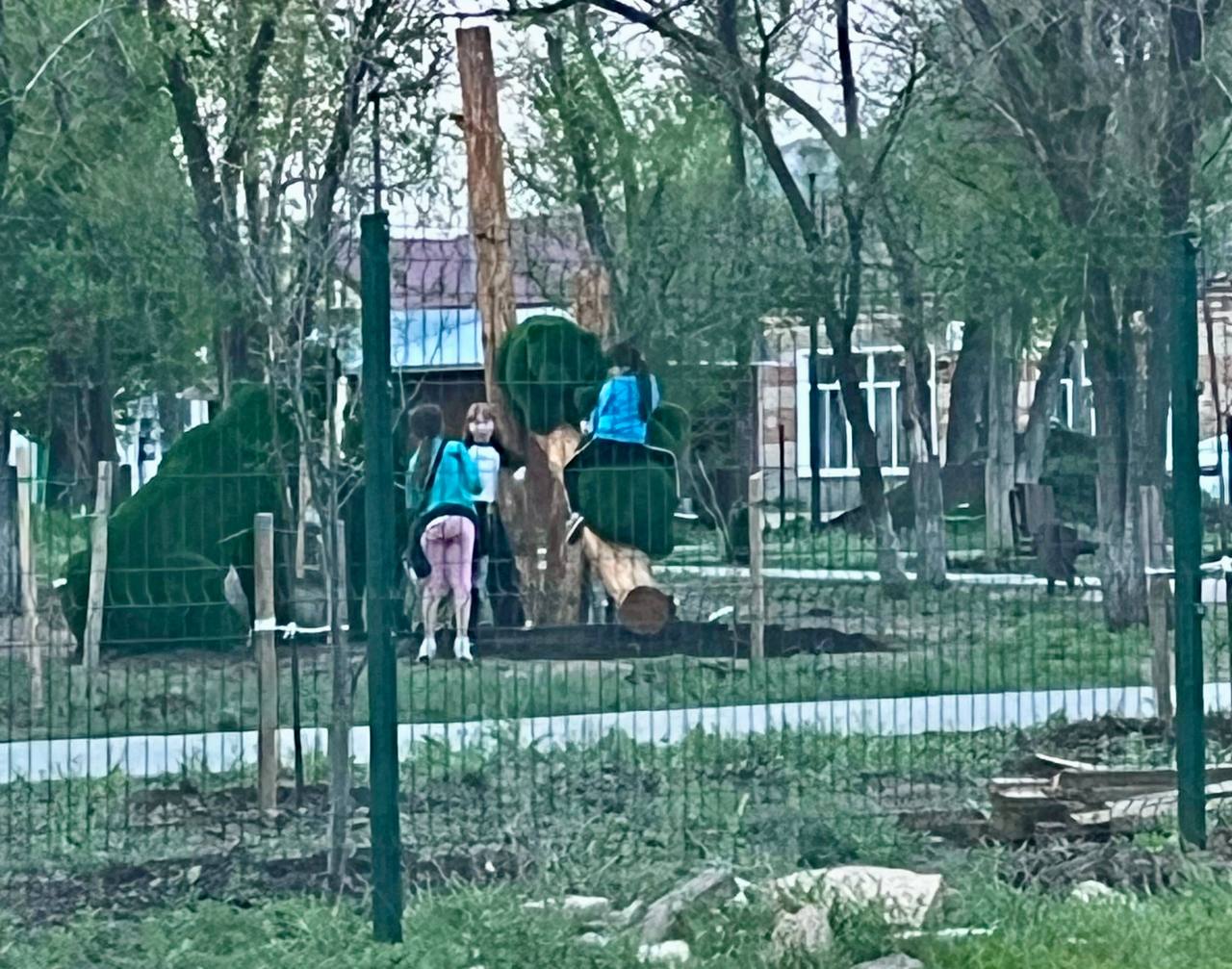 mishki-kak-ne-nado-delat.j