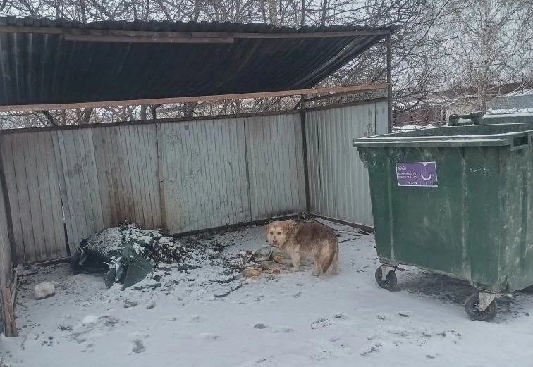 Мусорки горят 2