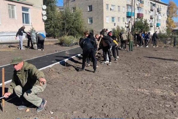 Новоселы озеленение