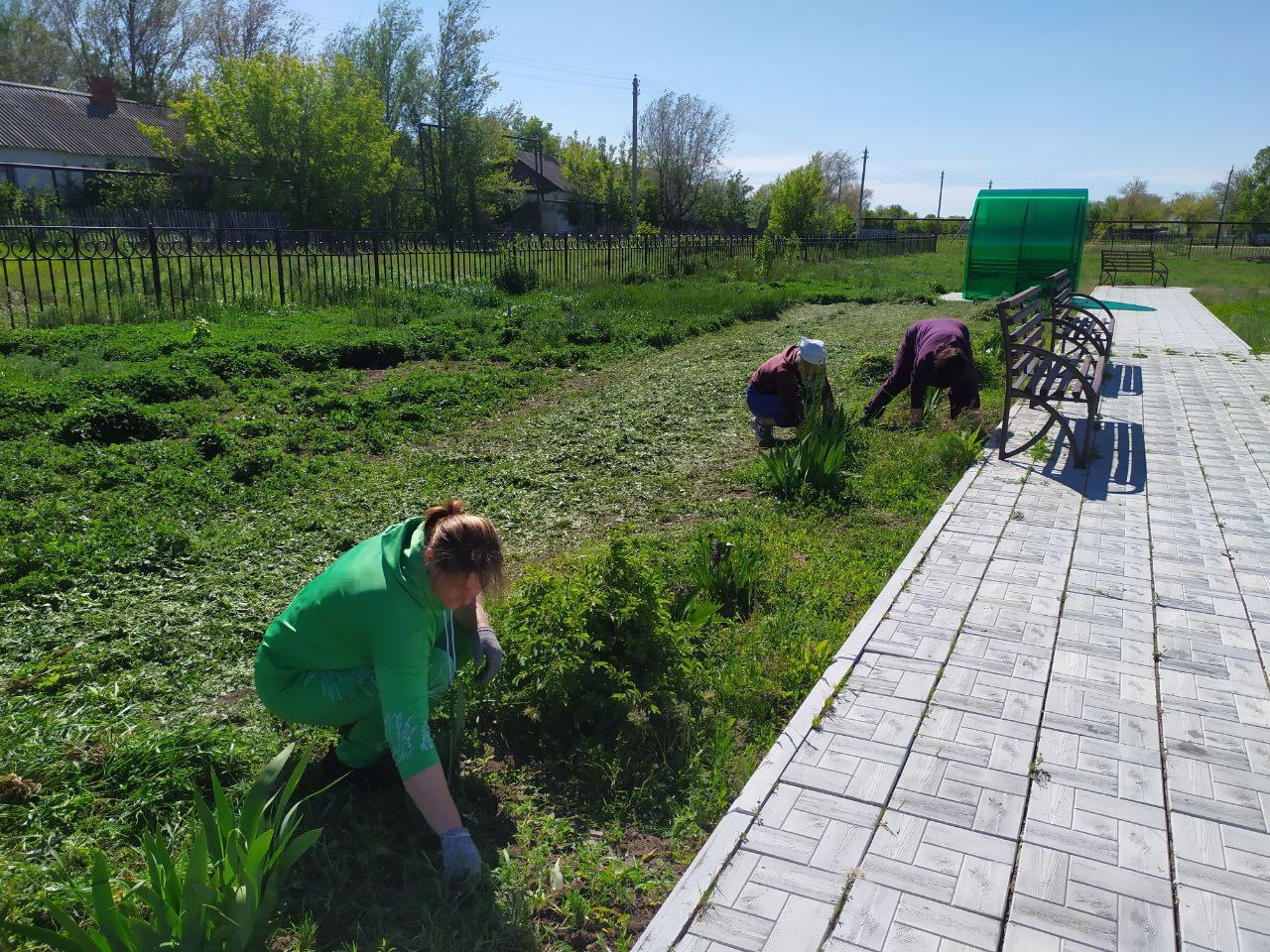 Озинки цветы