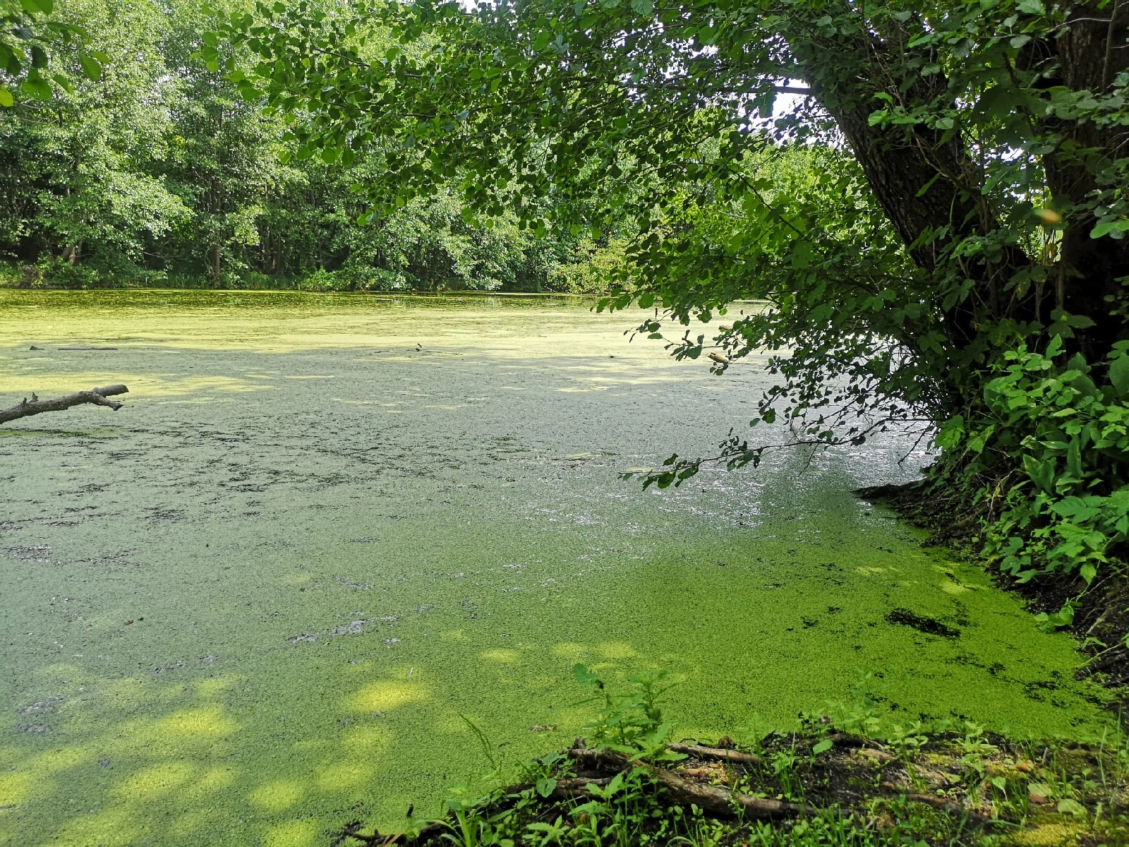 Лысогорье 4