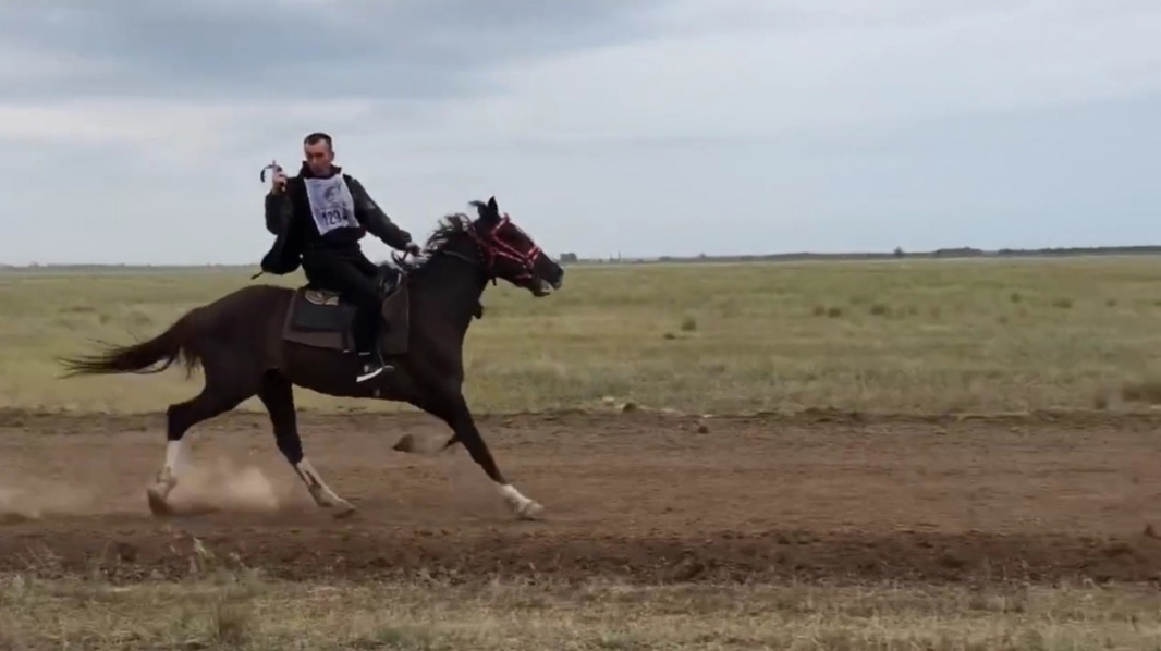 Скачки в Питерском районе 1