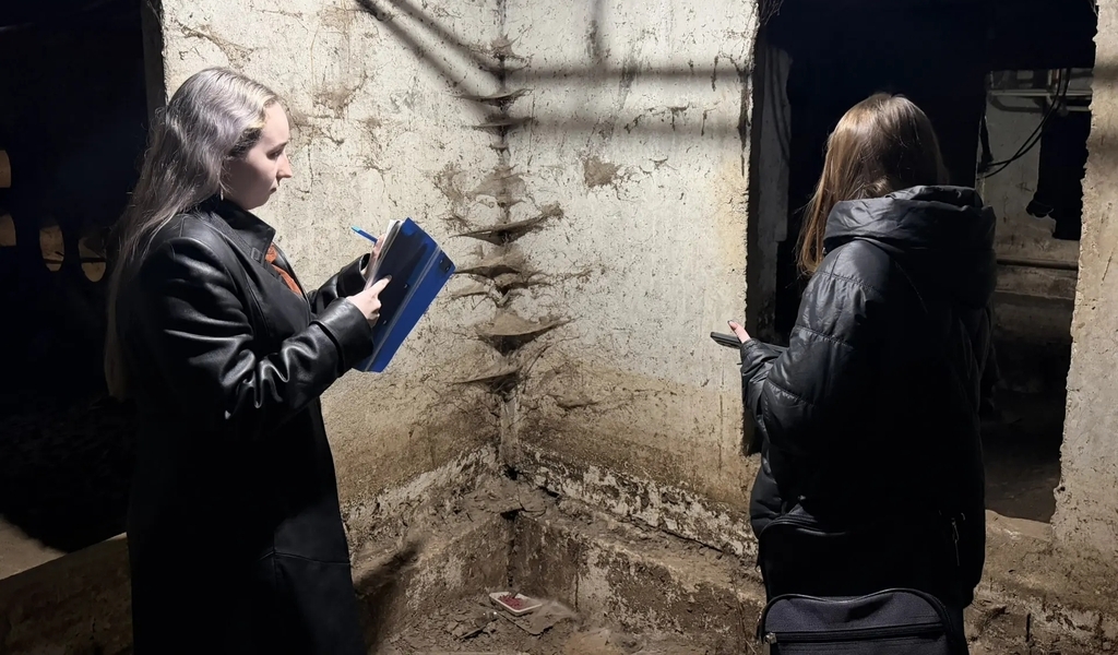 Проверка подвало в Энгельсе