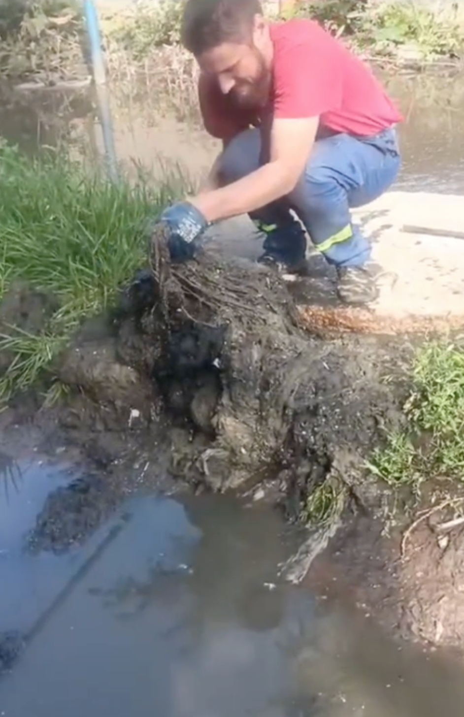 Канализация Энгельса 