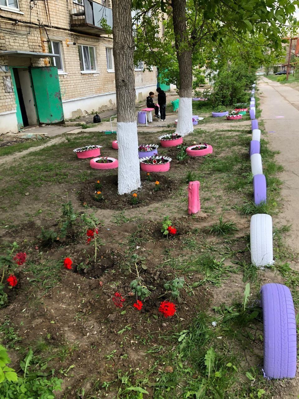 Цветы Сланцевый Рудник