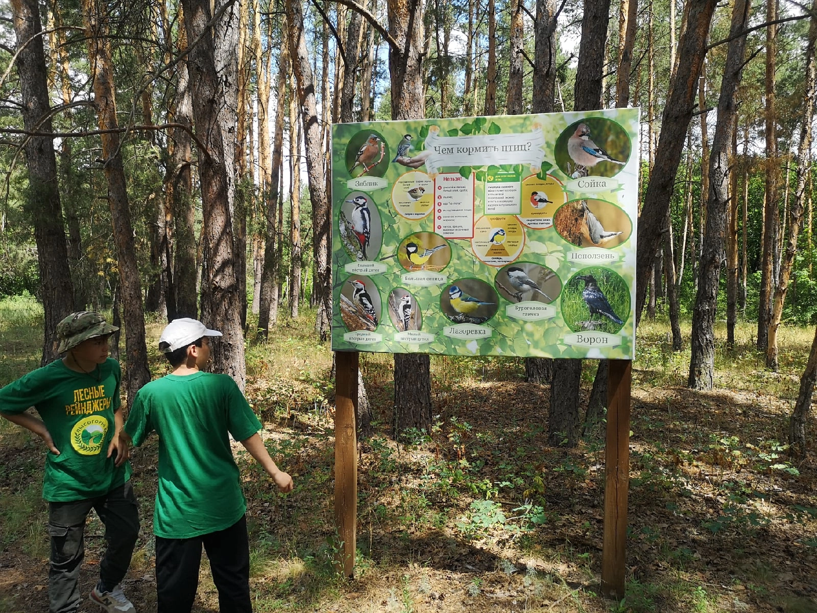 Лысогорье 9