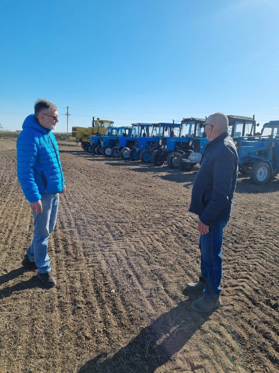 Поля в Александровом Гае