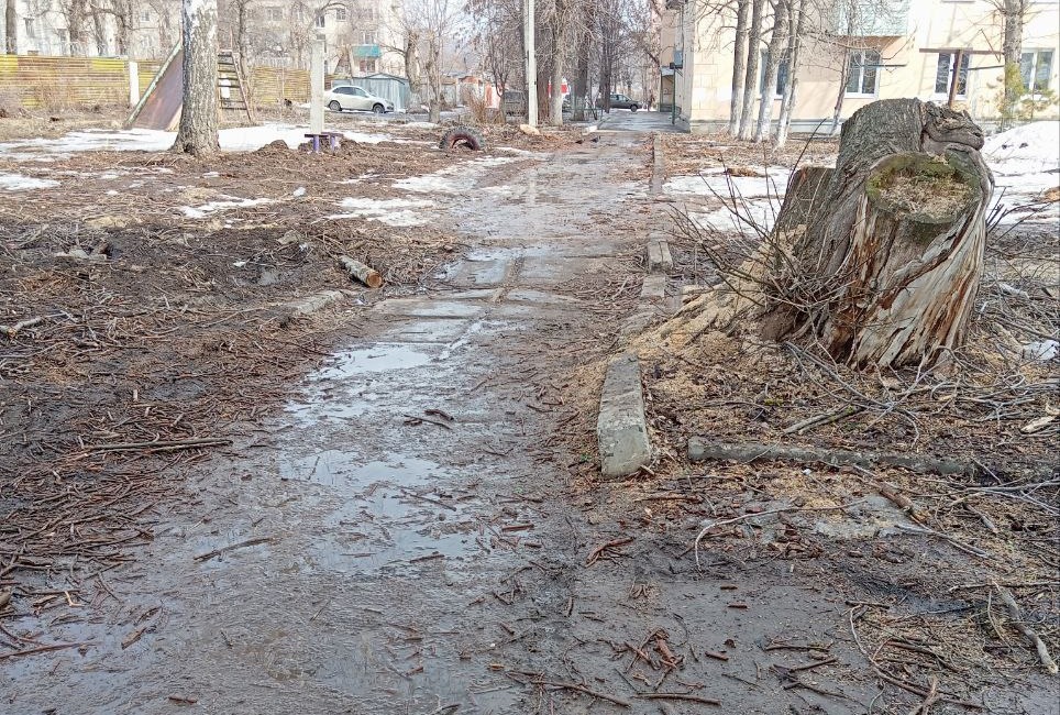 Вольск район Досы