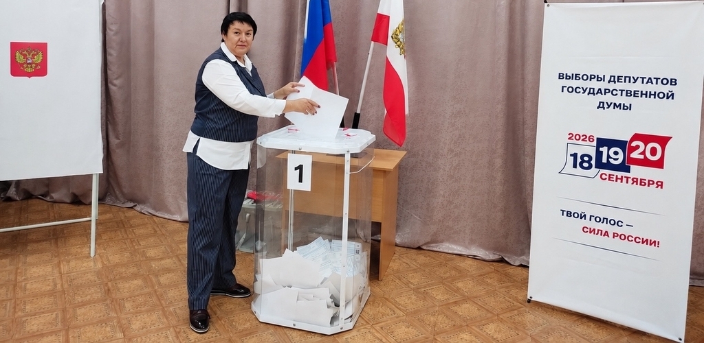 Голосование на выборах 2026 год 