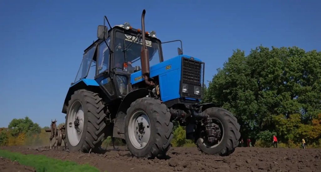 Восстановление лесов в Саратовской области