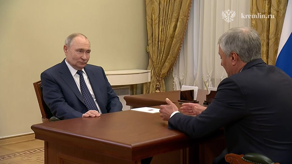 Владимир Путин и Вячеслав Володин обсудили развитие парламентской демократии на фоне внешнего давления