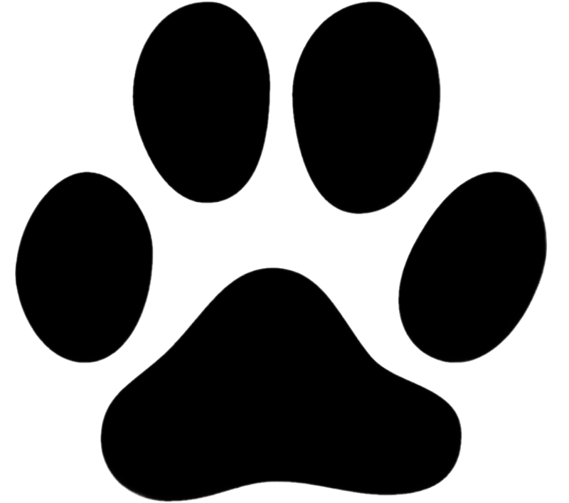 Лапа животного