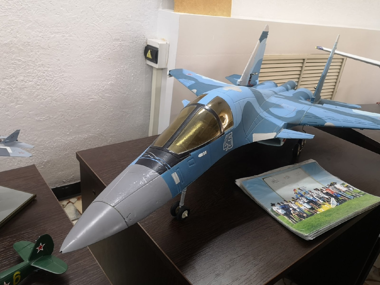 День женских авиационных полков в Саратове самолет синий