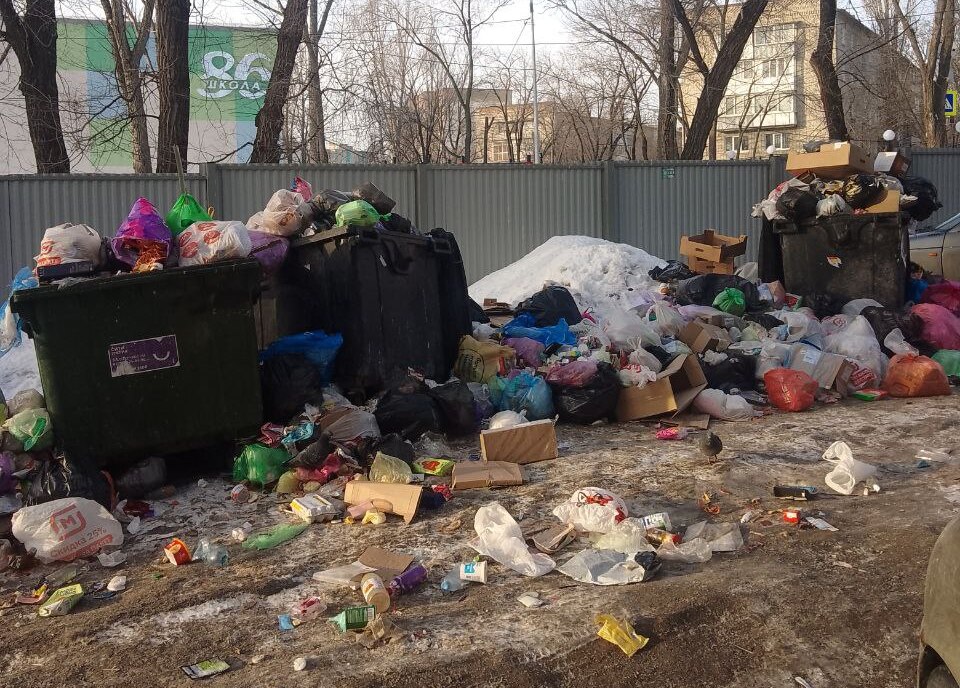 Мусор, тепло и транспорт: саратовцы жалуются Володину на проблемы в области