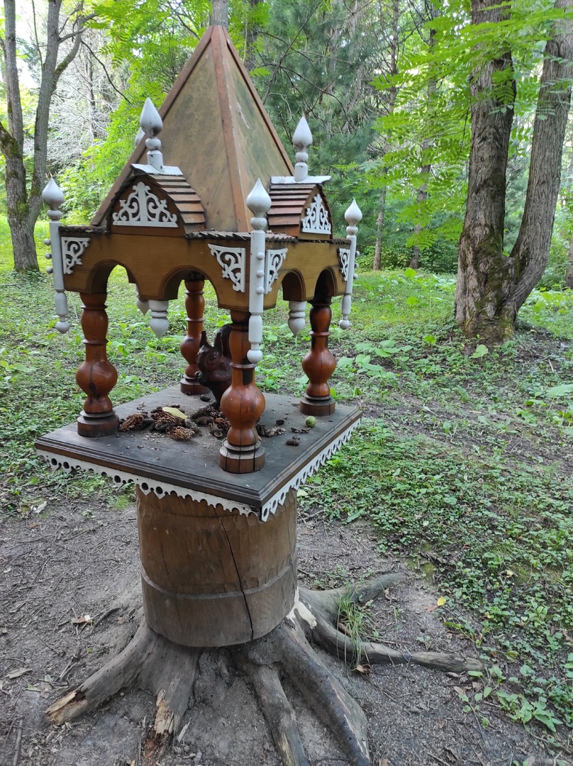 Экотропа в дендропарке им. С. Ф. Харитонова 3