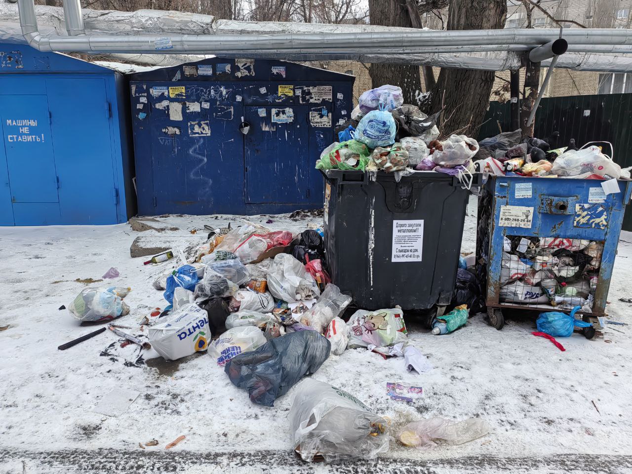 Мусор в Саратове