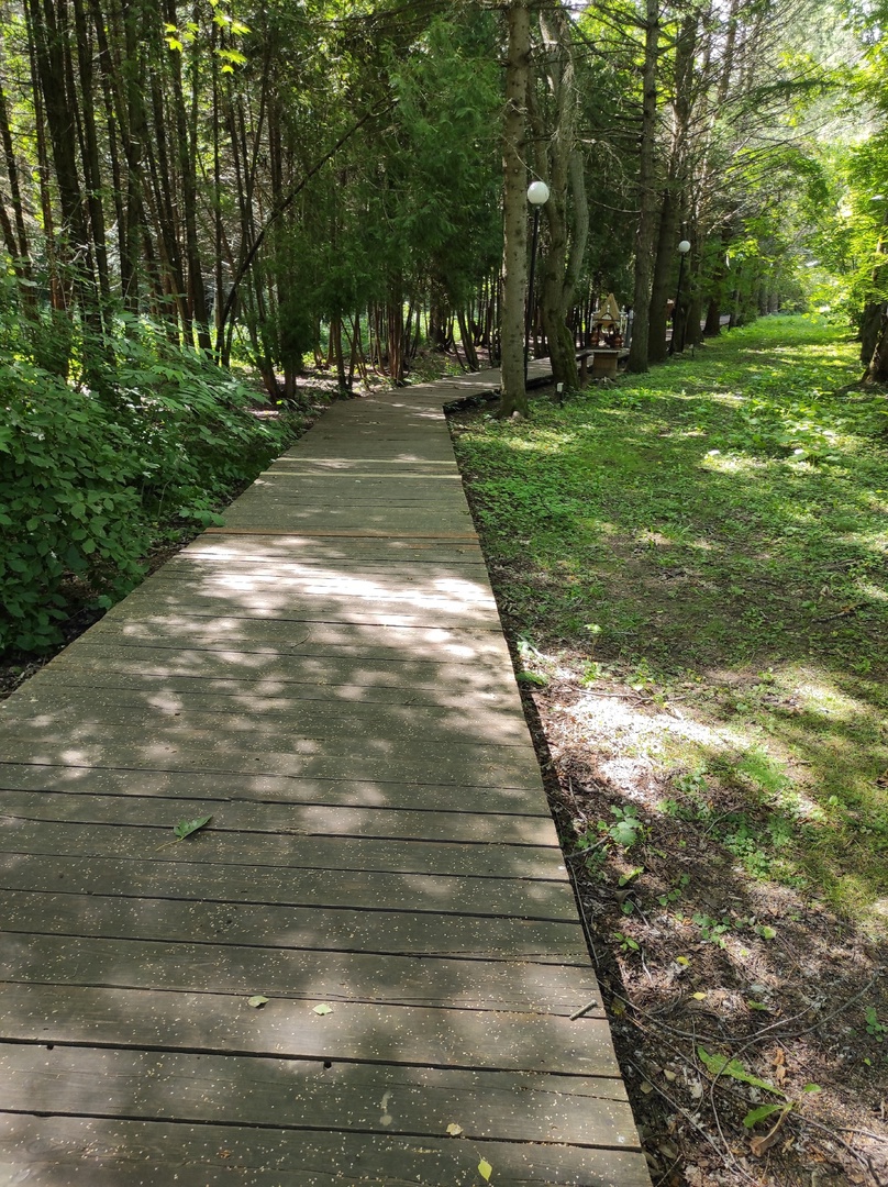 Экотропа в дендропарке им. С. Ф. Харитонова 1