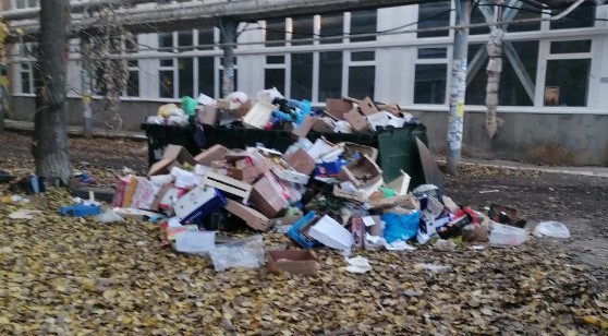 Крысы и стихийные свалки: саратовцы тщетно ждут спасения от гор мусора