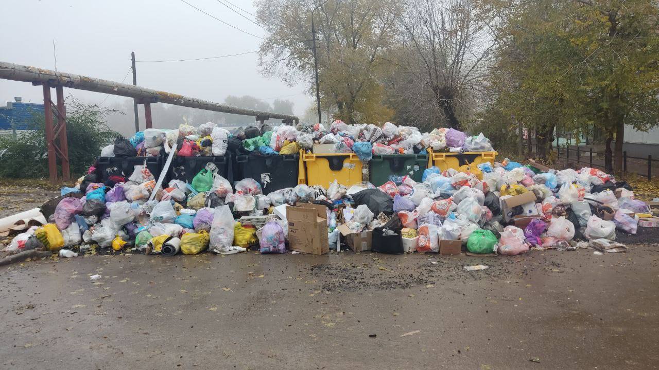 «Картина бомжатника!»: жители Энгельса жалуются на заваленный мусором город