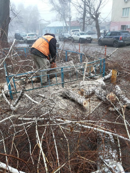 Опиловка деревьев 