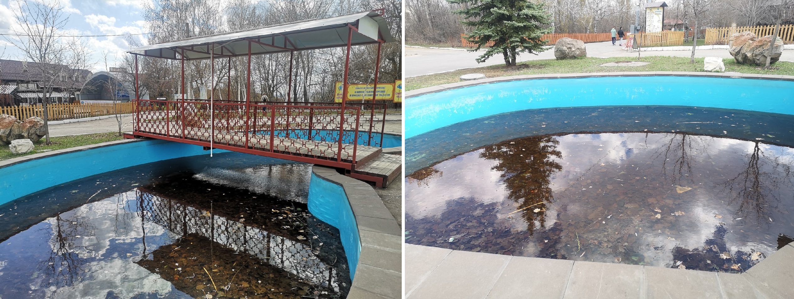 Парк Победы пруд с листьями