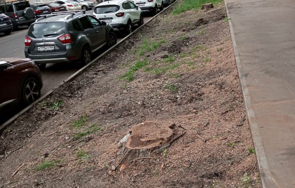 «Город лысый!»: саратовцы требуют новых посадок