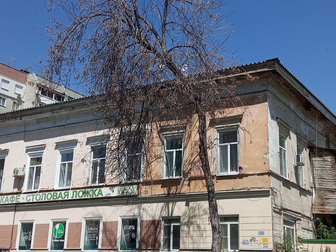 Засохший ясень на Мичурина