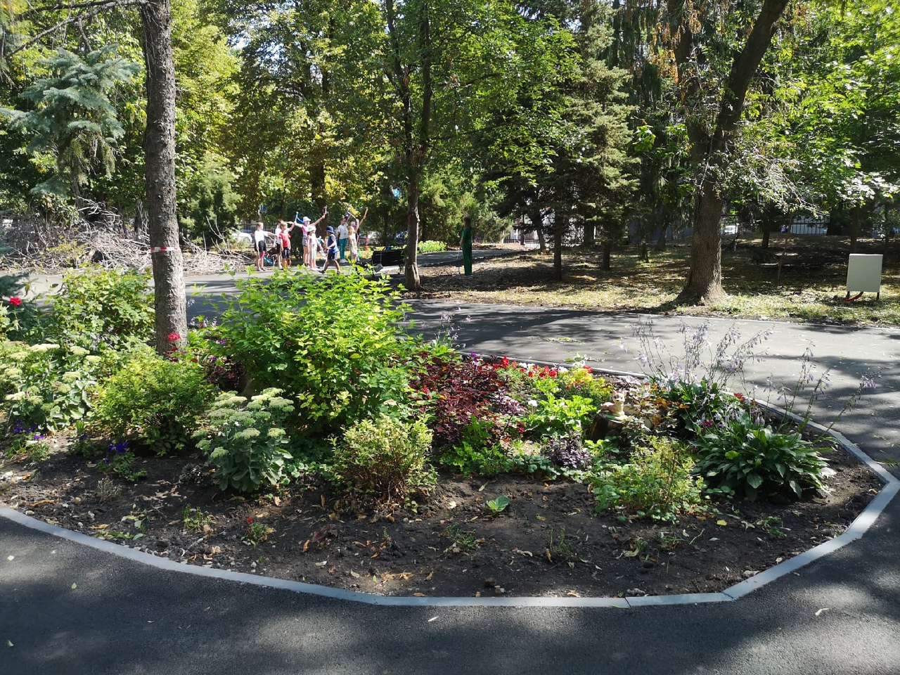 Липки газон и ветки