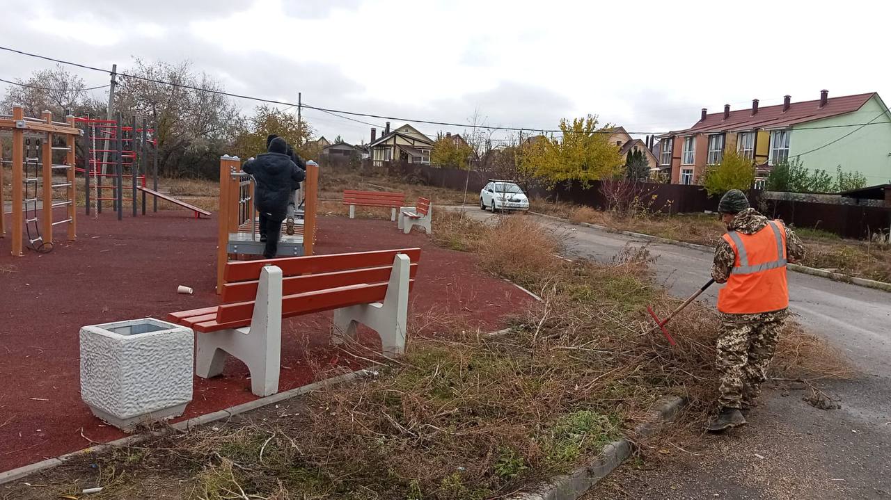 Жители Энгельса переживают за судьбу высаженных в городе деревьев