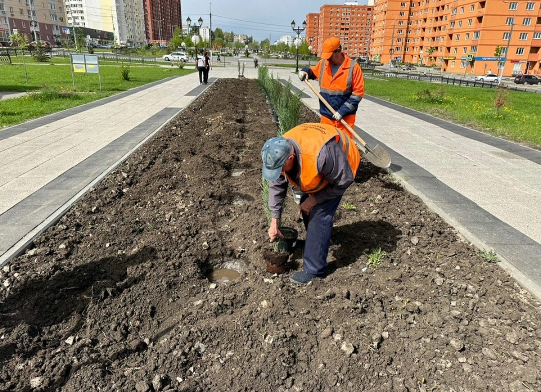 Озеленение Саратова 