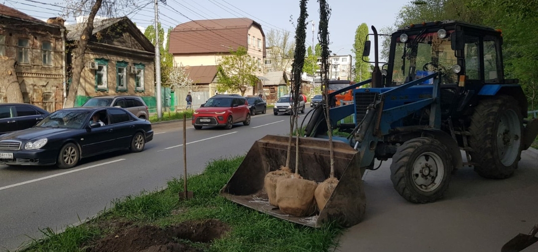 Озеленение Саратова ещё 