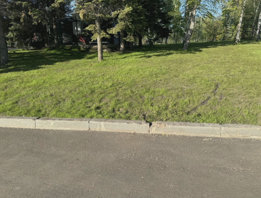 Бордюр в Парке Победы