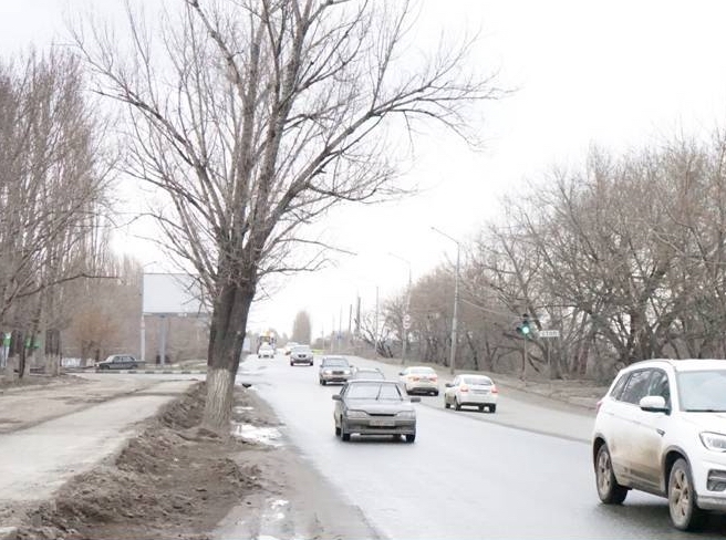 В Саратове предлагают переименовать городскую улицу в честь Сталинграда