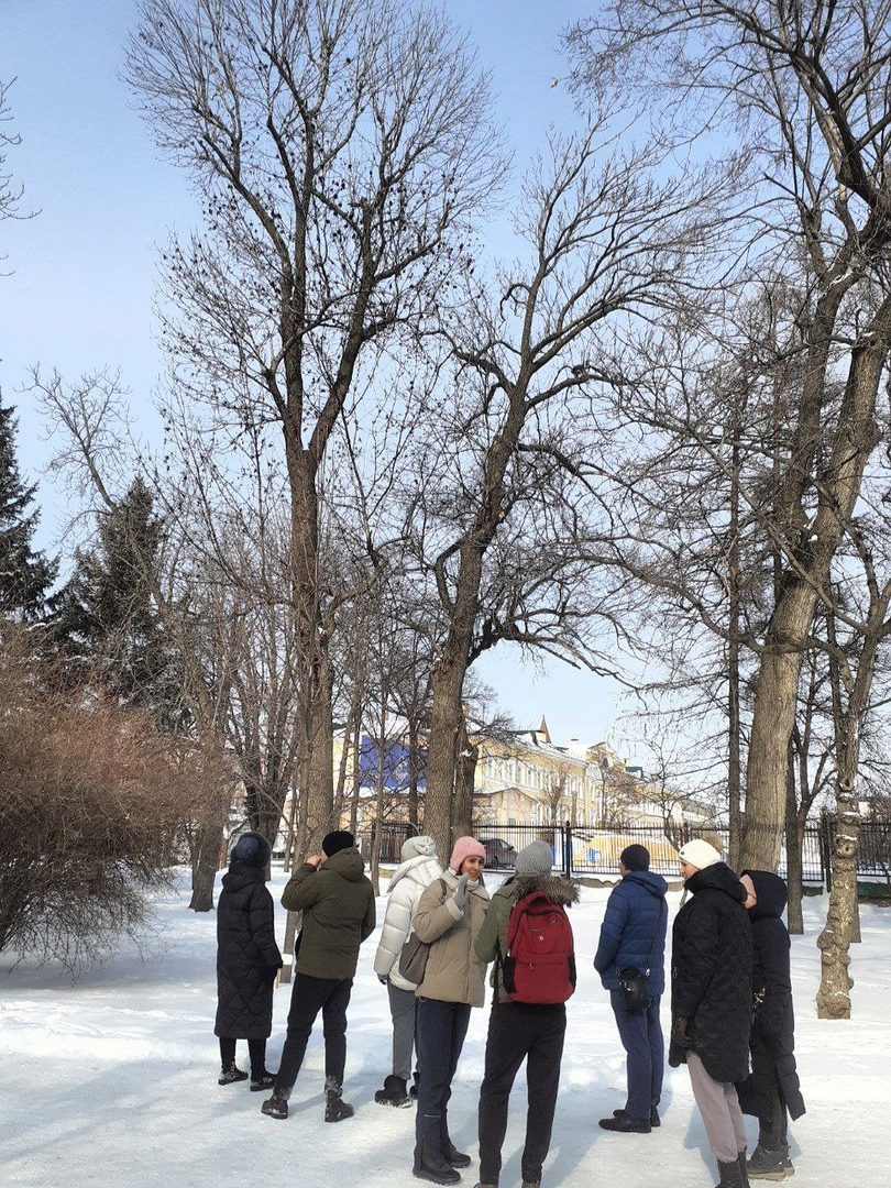 Деревья в Липках 2