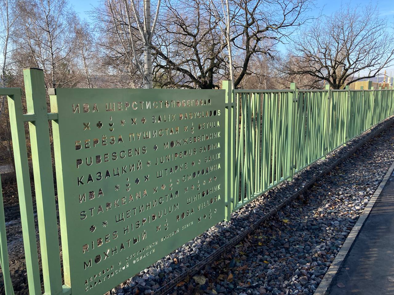 Ботанический сад СГУ 1