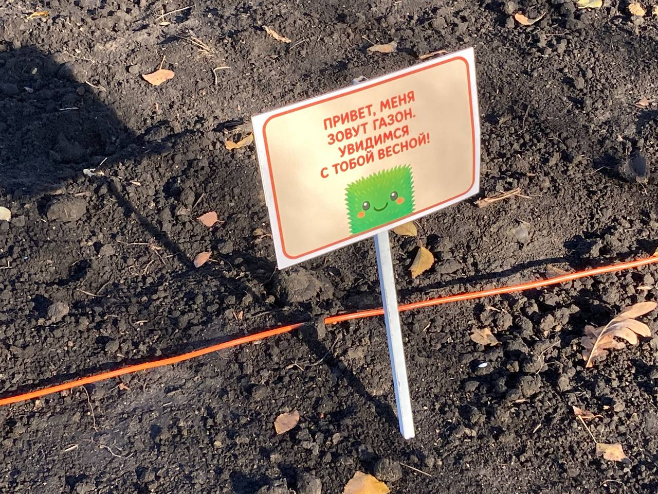 Ботанический сад СГУ 2