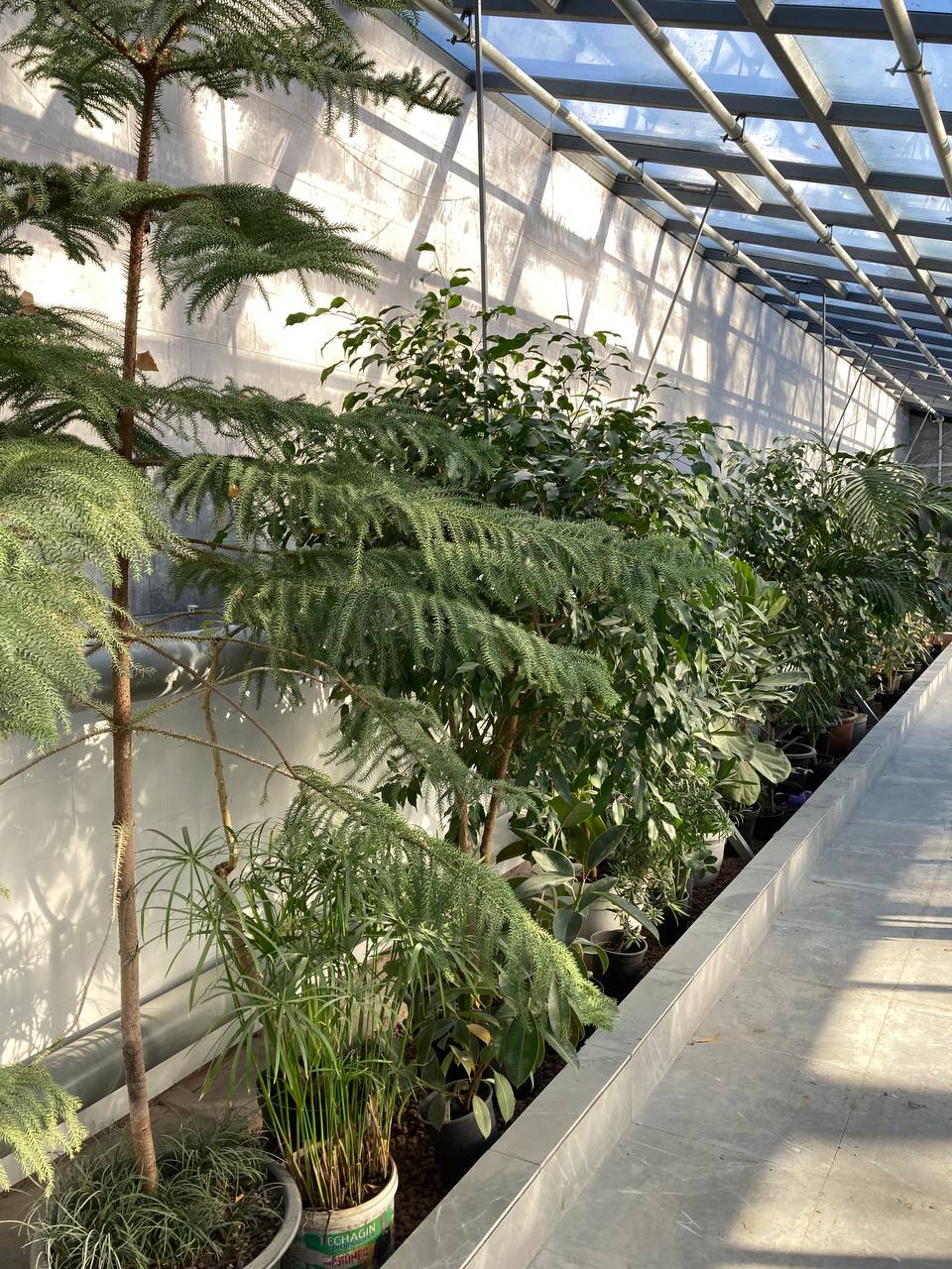 Ботанический сад СГУ 8