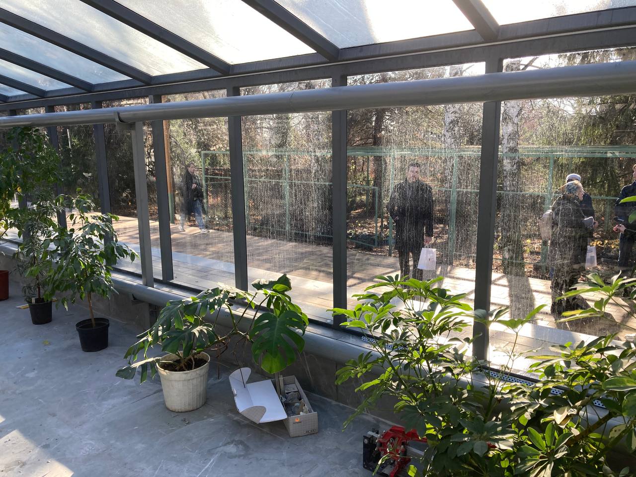 Оранжерея в ботаническом саду СГУ 