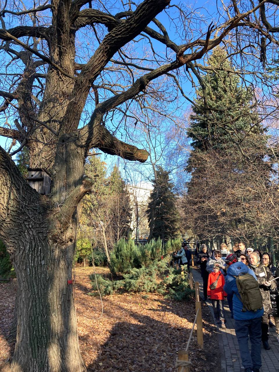 Ботанический сад СГУ 9