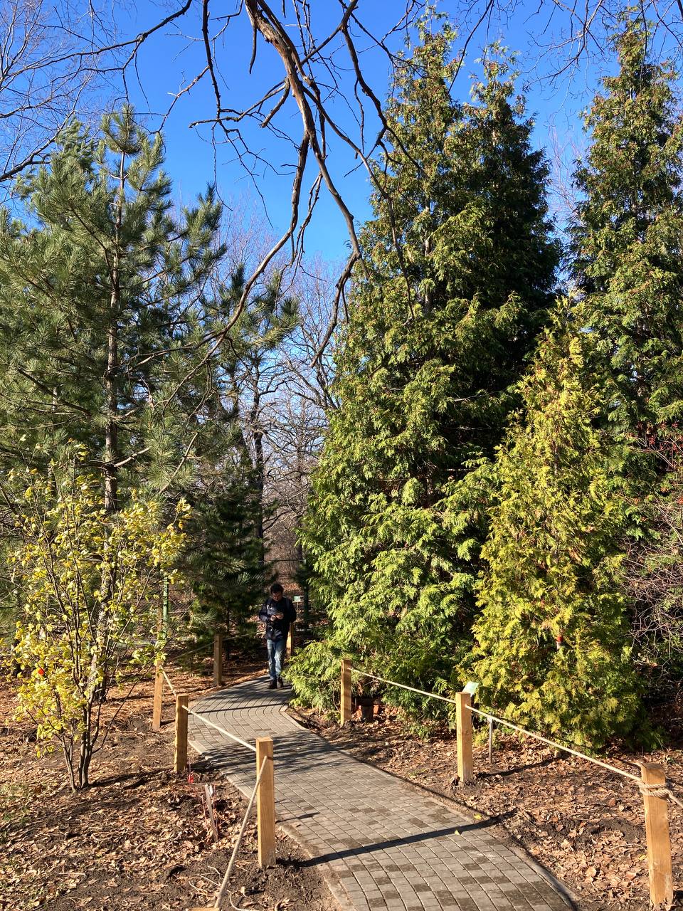 Ботанический сад СГУ 10