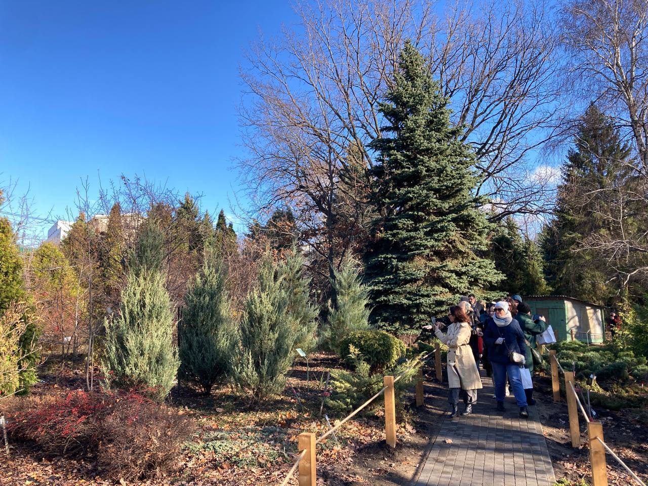 Около 3 тысяч саратовцев в день открытия посетили Ботанический сад СГУ