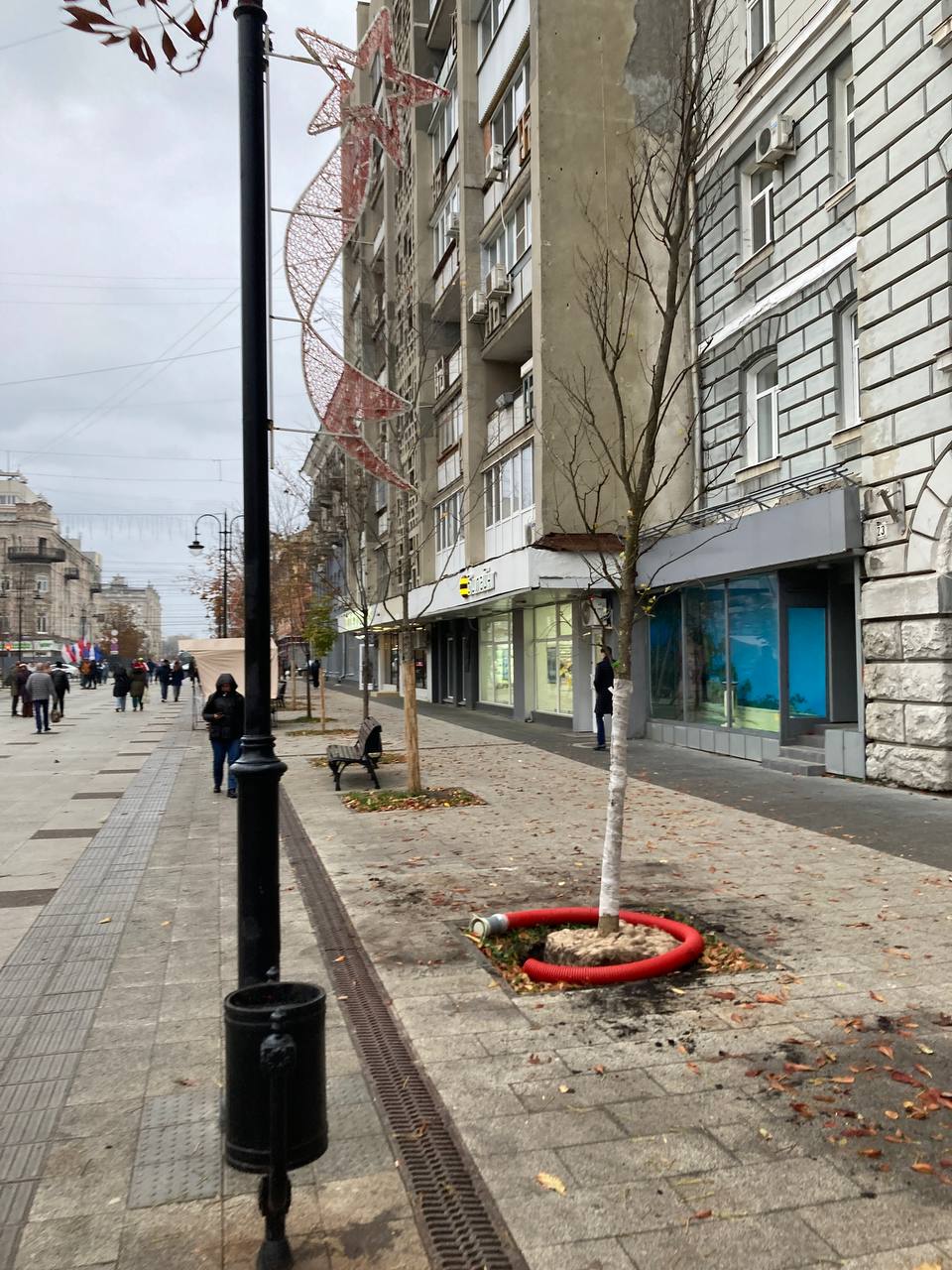 Озеленение Саратова проспект Столыпина