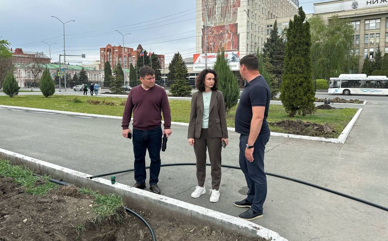 Главную площадь Саратова засадят розами