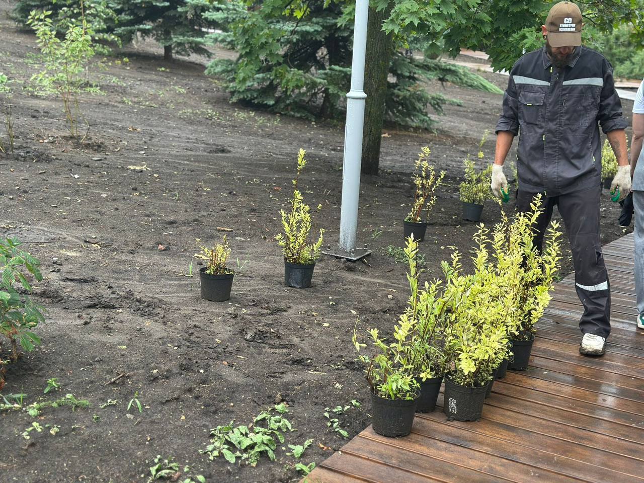 Озеленение экотропы в Парке Победы еще